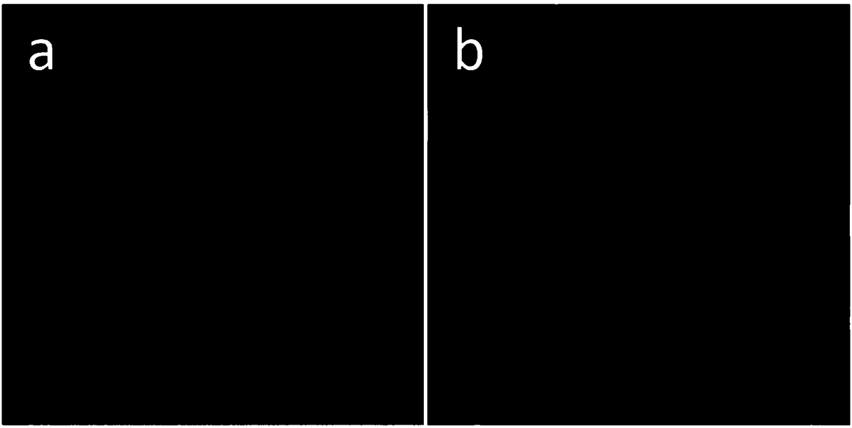 Rotation illumination-based surface wave imaging system