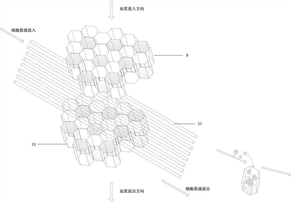 Biological artificial liver purification circulation unit and artificial liver support system