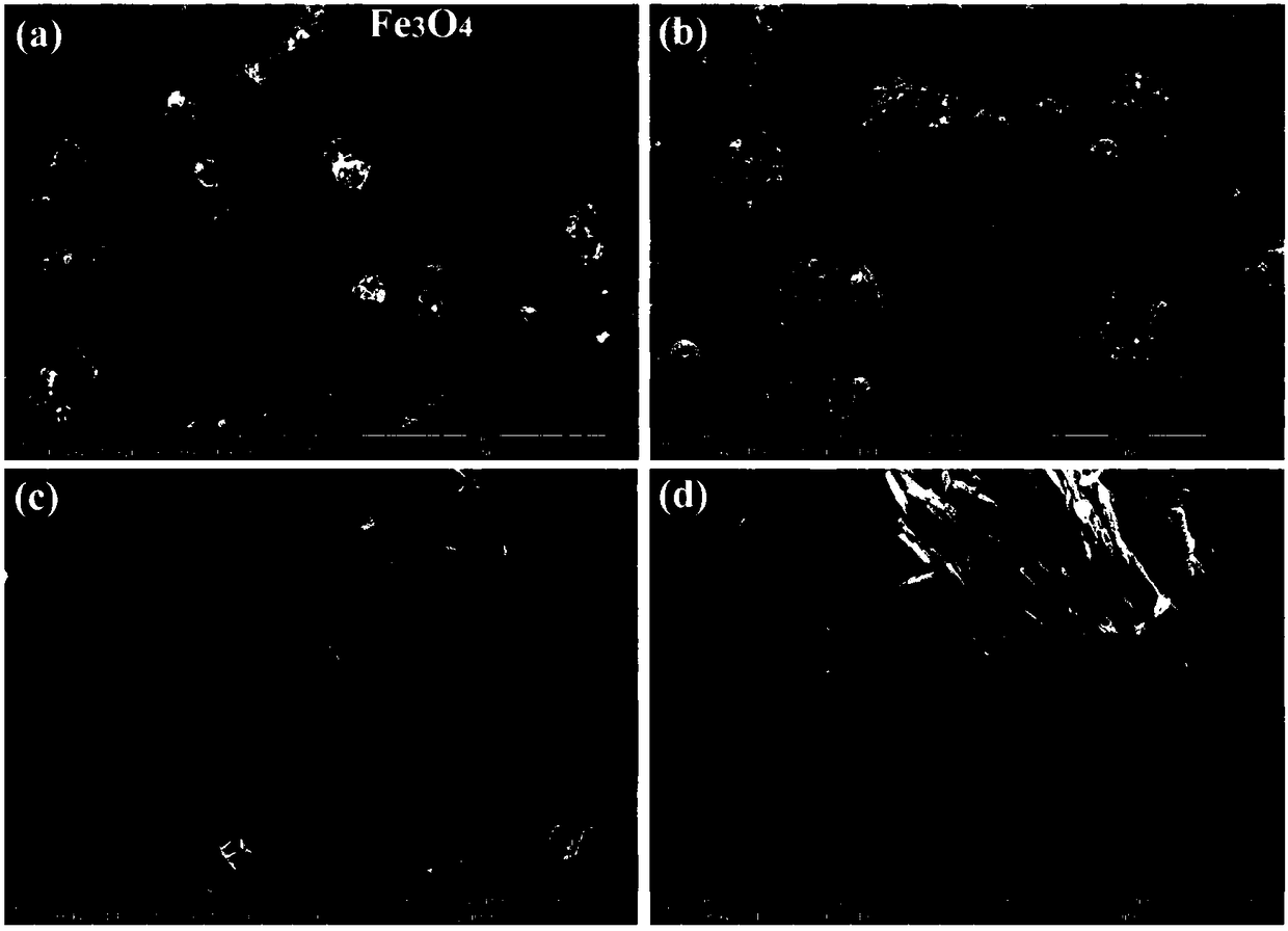 Preparation method for photo-Fenton catalyst