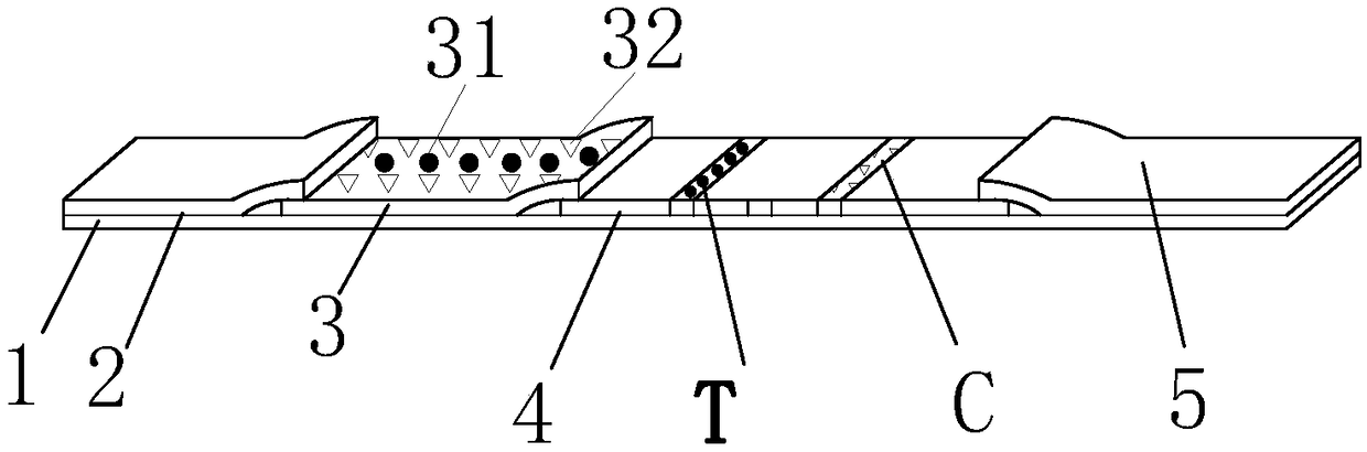 Immunofluorescence chromatography detection card for detecting canine distemper virus antigen and preparation method thereof