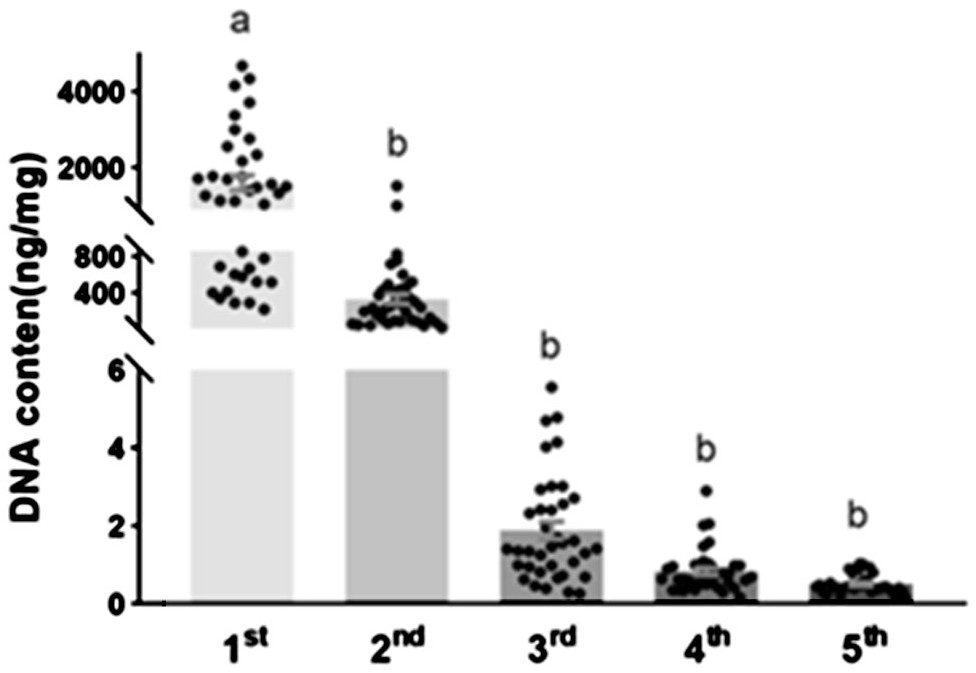 Method for noninvasive identification on genotype of insect