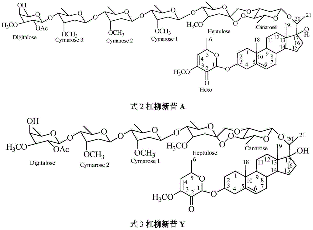 Liquid formulation for trunk injection contained with extract of willow root for landscape plant insect attack and preparation and application thereof