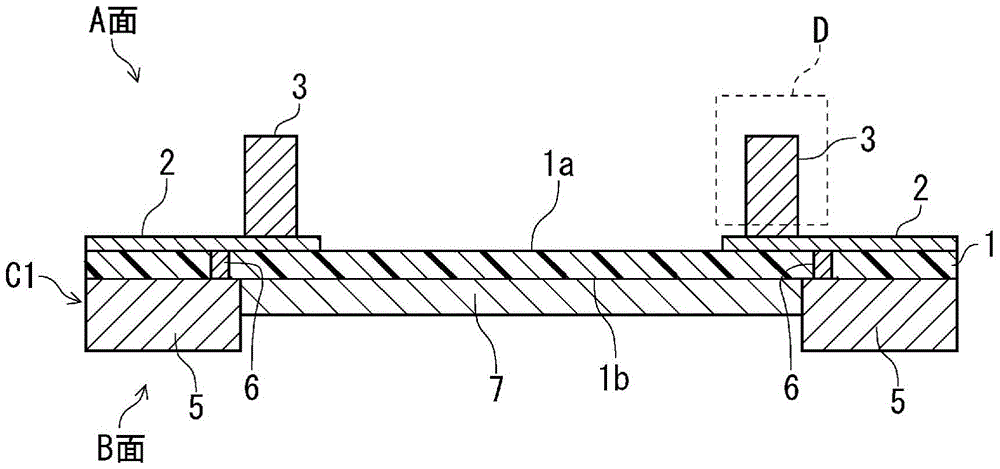 Connector structure, female connector and male connector