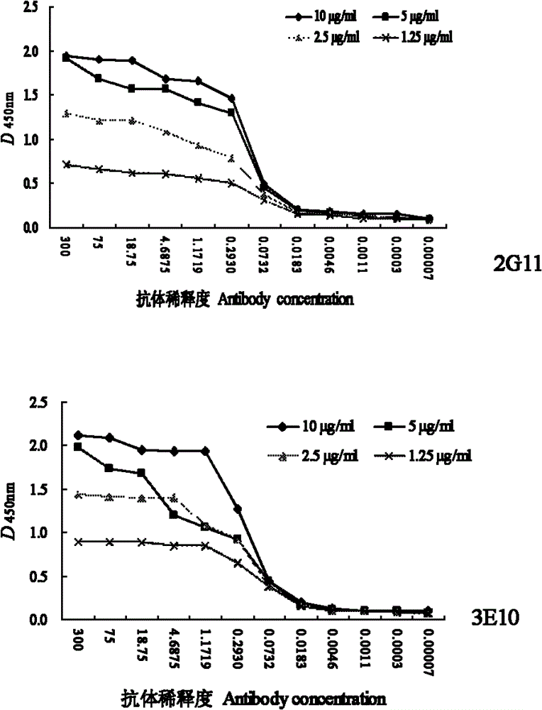 Monoclonal antibody of equine influenza virus nucleoprotein as well as preparation method and application thereof