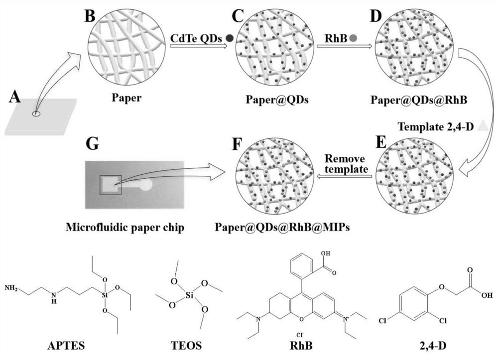 Ratio-type fluorescent paper chip based on polyester fiber film, preparation method and application