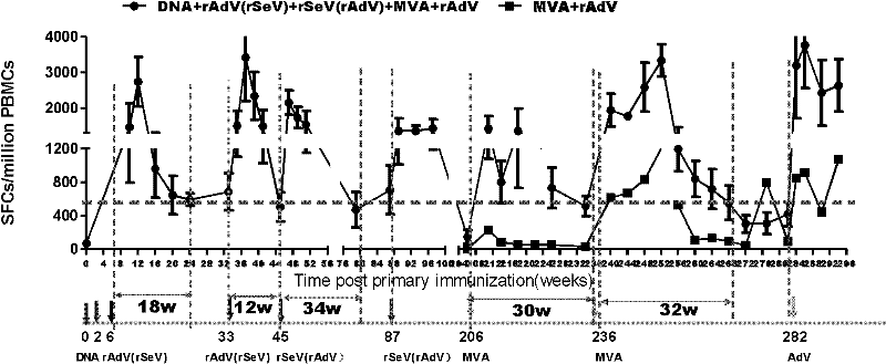 Sequential and repeated application of four or more HIV vector gene vaccines