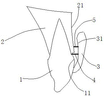 Developing composition and preparation method and application thereof