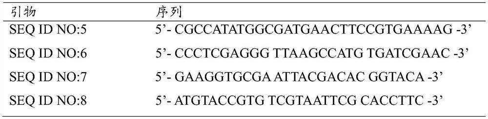 7beta-hydroxysteroid dehydrogenase mutant and application thereof