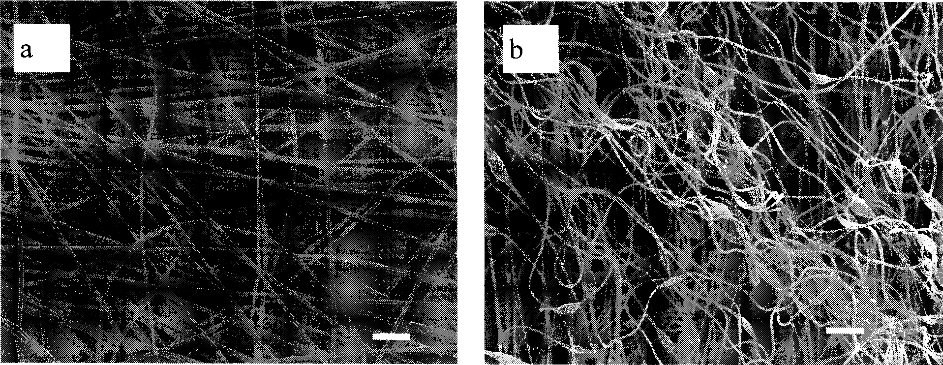 Micro-nano fibre with curled secondary structure, and preparation and use thereof