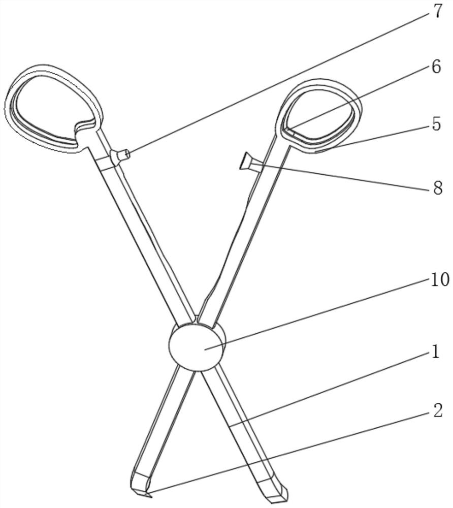 Vascular transplantation equipment for cardiovascular surgery