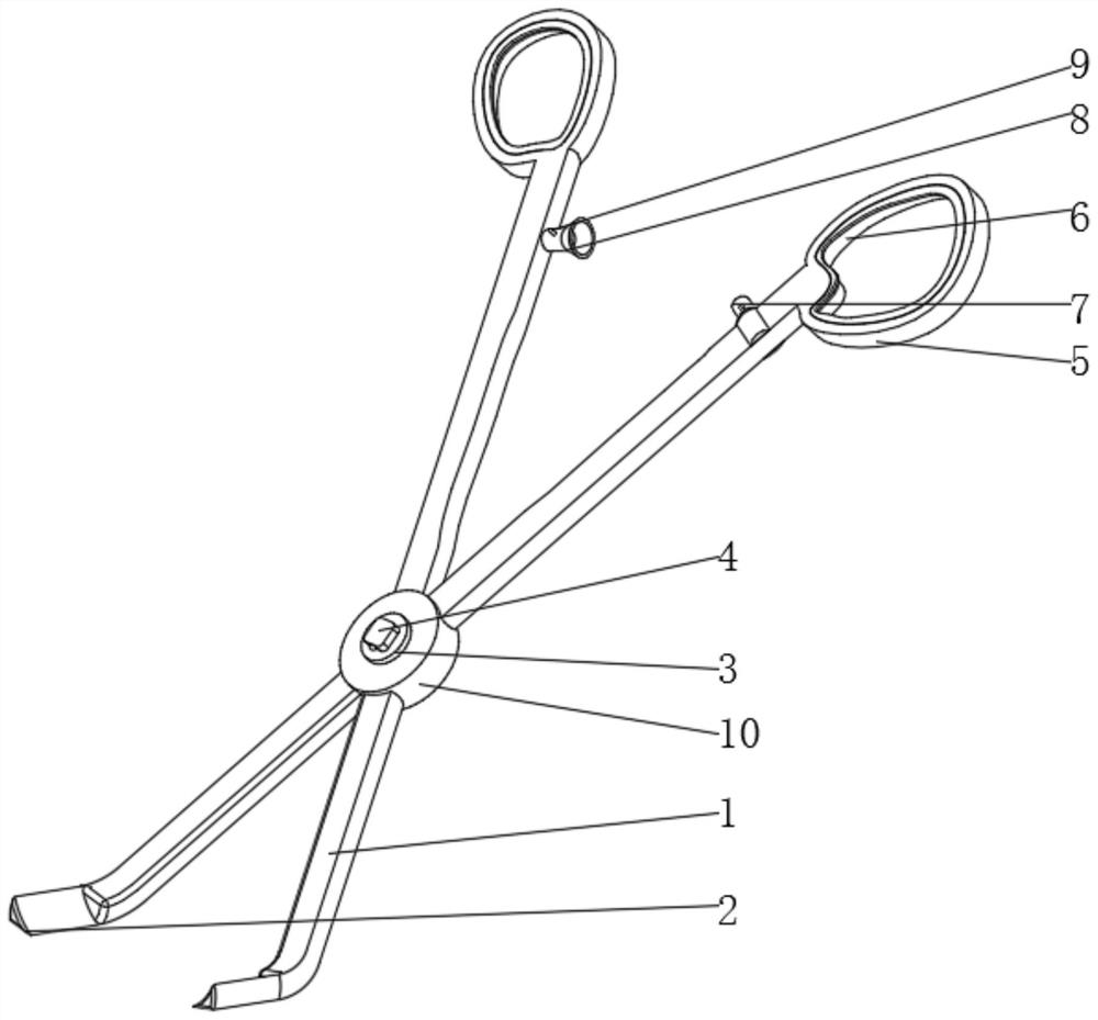 Vascular transplantation equipment for cardiovascular surgery