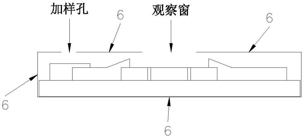 Placenta protein 13 test strip and quantitative detection method