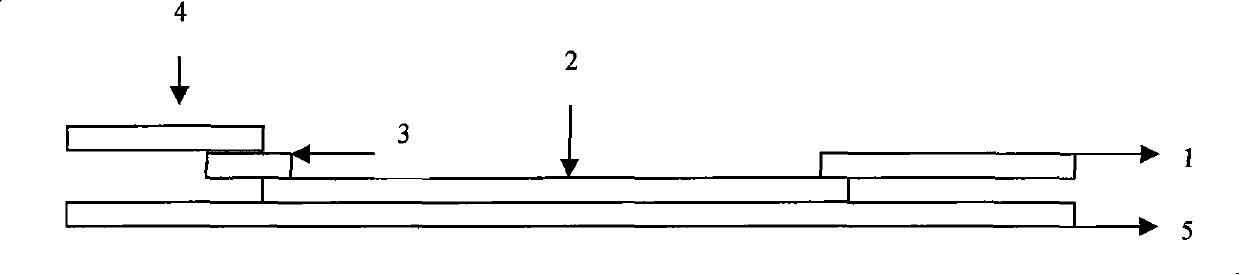 Leptospira IgM antibody quick detection test strip