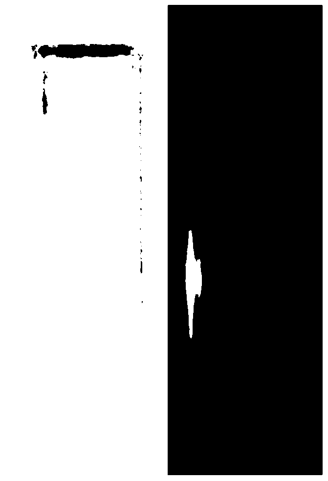 Preparation method of up-conversion nanocrystal-hypocretin complex and application of the prepared complex in photosensitization therapy