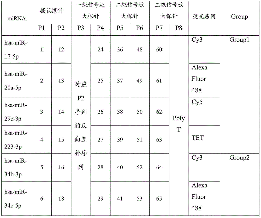 Nasopharyngeal carcinoma microRNA detection kit