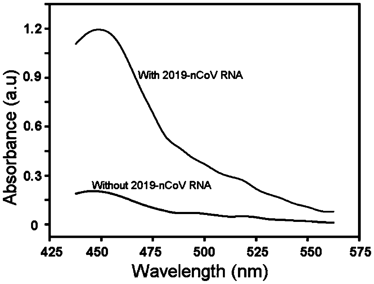 Novel coronavirus kit and method for detecting nucleic acid of novel coronavirus by single closed-tube one-step method