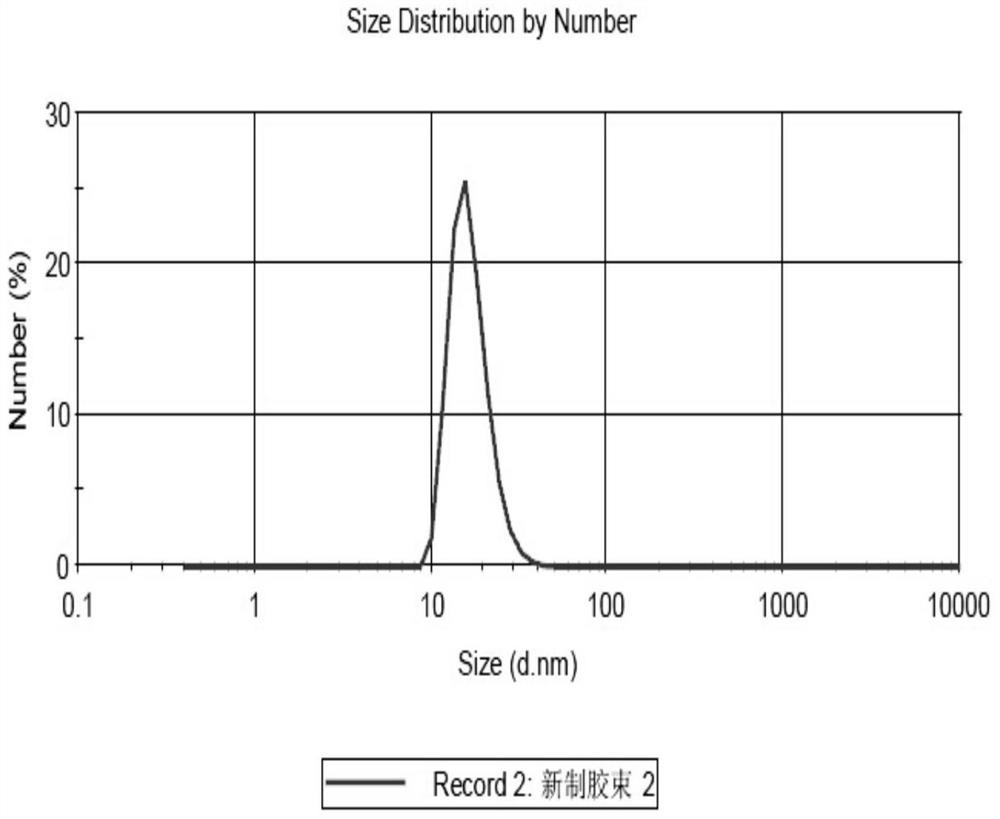 A kind of paclitaxel-loaded micellar nanocluster and its preparation method