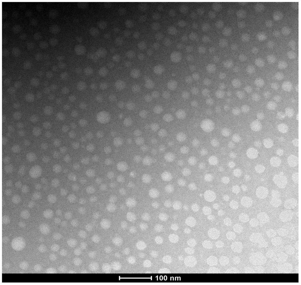 A kind of paclitaxel-loaded micellar nanocluster and its preparation method