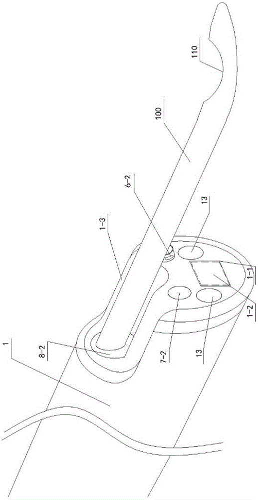 Portable visible intrauterine semen deposition device for dog