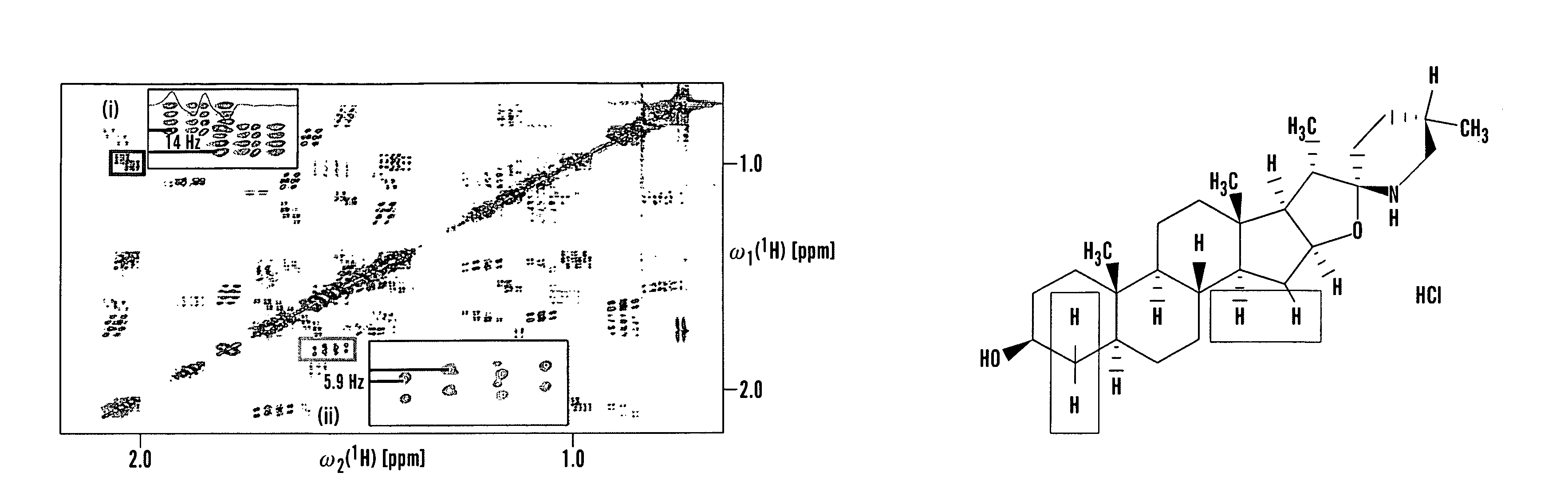 Simultaneously cycled NMR spectroscopy