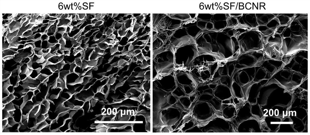 Method for constructing in-vitro tissue engineering cartilage