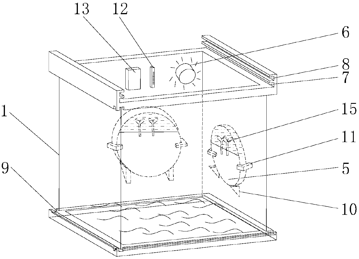 Device and method for culturing and detecting hydrotropism of root of Arabidopsis thaliana