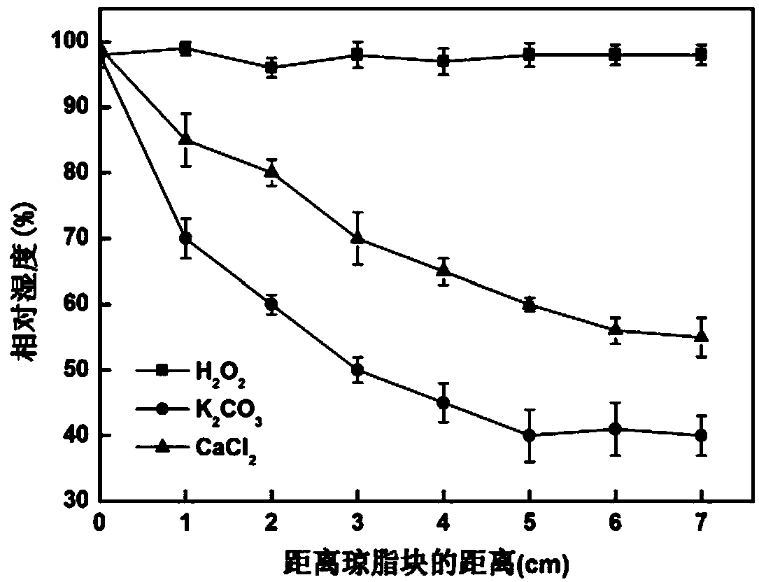 Device and method for culturing and detecting hydrotropism of root of Arabidopsis thaliana