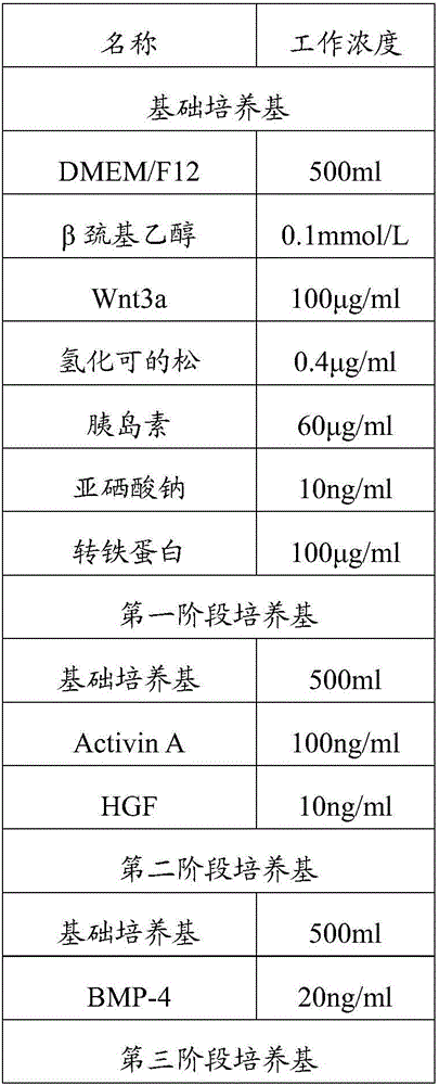 Serum-free induction medium and induction method for differentiating iPS (induced pluripotent stem) cell into endodermal progenitor cell