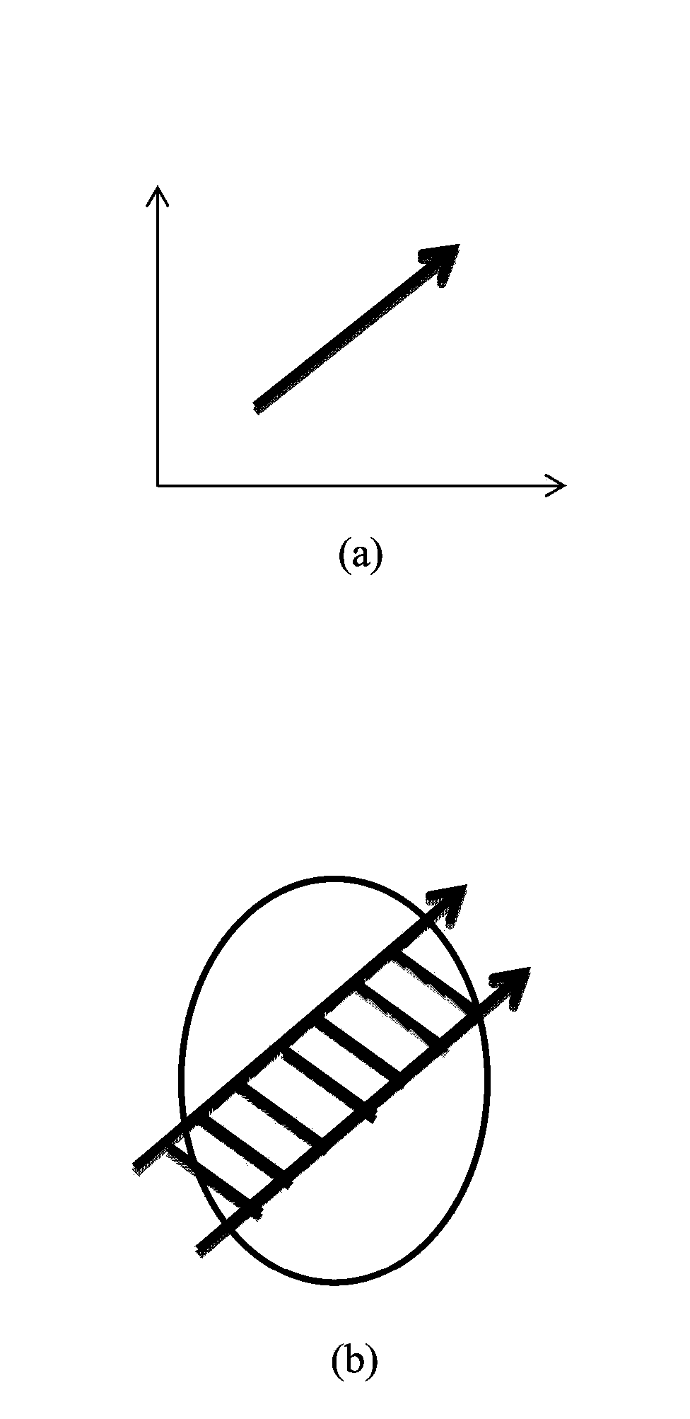 Head-wearing display equipment