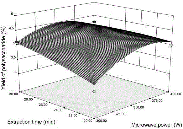 Compound enzyme-microwave extraction method for optimizing Nitraria polysaccharide by response surface methodology