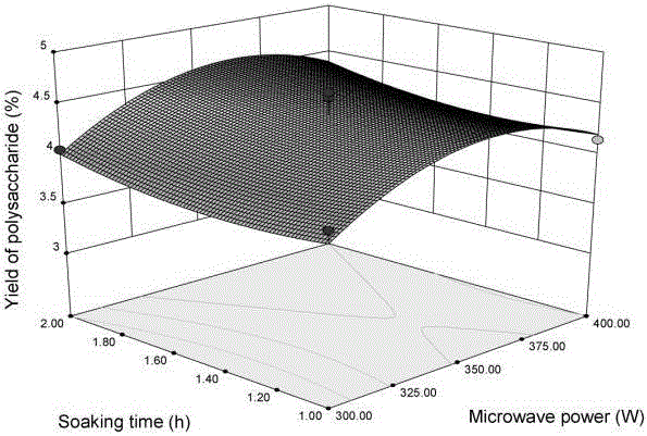 Compound enzyme-microwave extraction method for optimizing Nitraria polysaccharide by response surface methodology