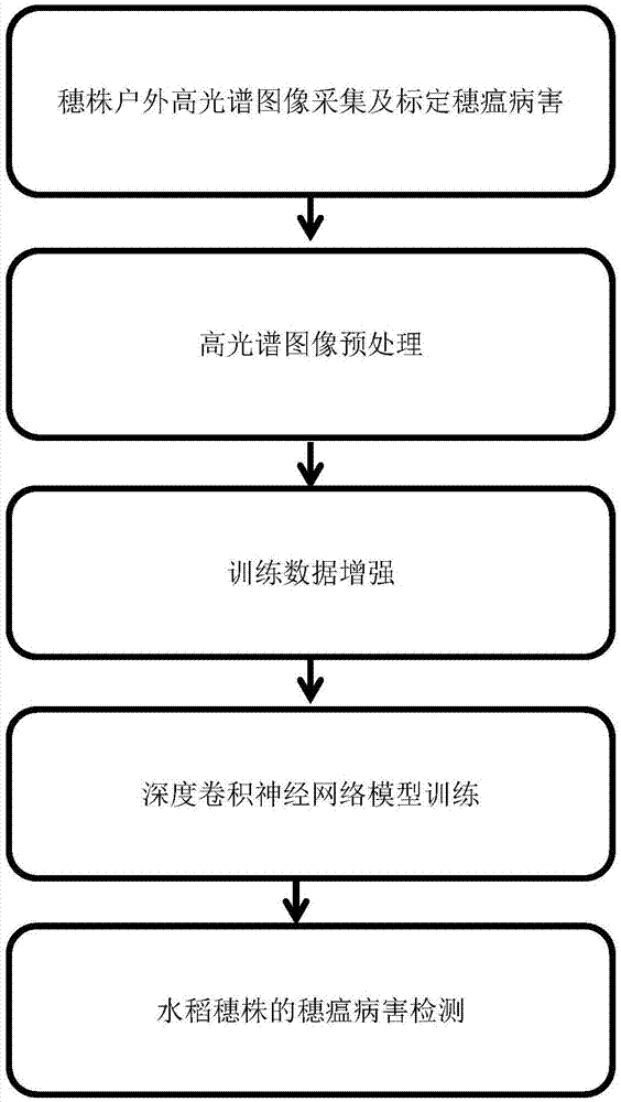 Method and system for detecting rice panicle blast based on deep convolutional neural network