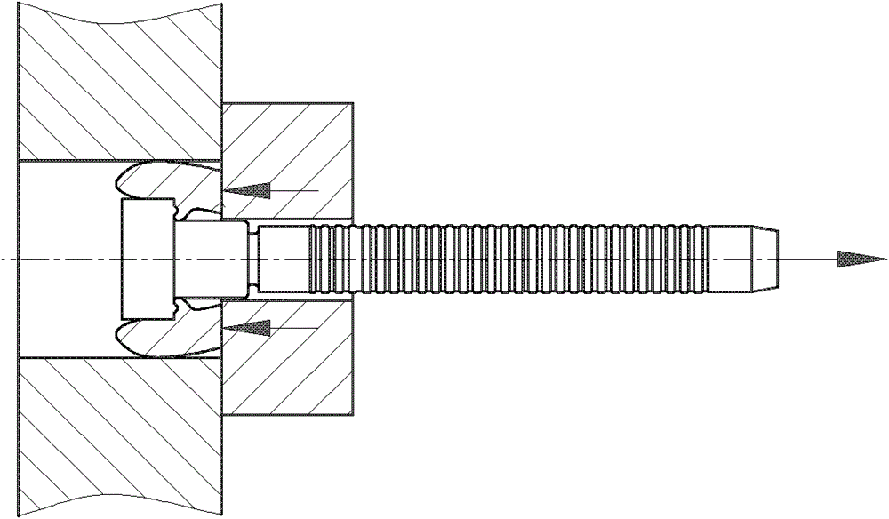 A plug for sealing holes