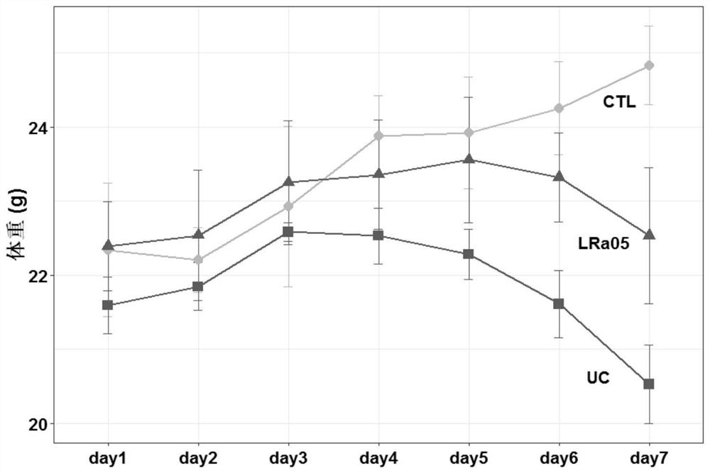 Application of lactobacillus rhamnosus in preparation of food or medicine for preventing and/or treating ulcerative colitis