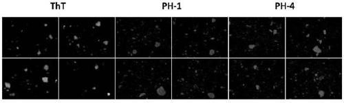 A kind of multifunctional near-infrared fluorescent magnetic nanoparticle and its preparation and application