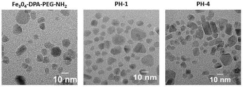 A kind of multifunctional near-infrared fluorescent magnetic nanoparticle and its preparation and application