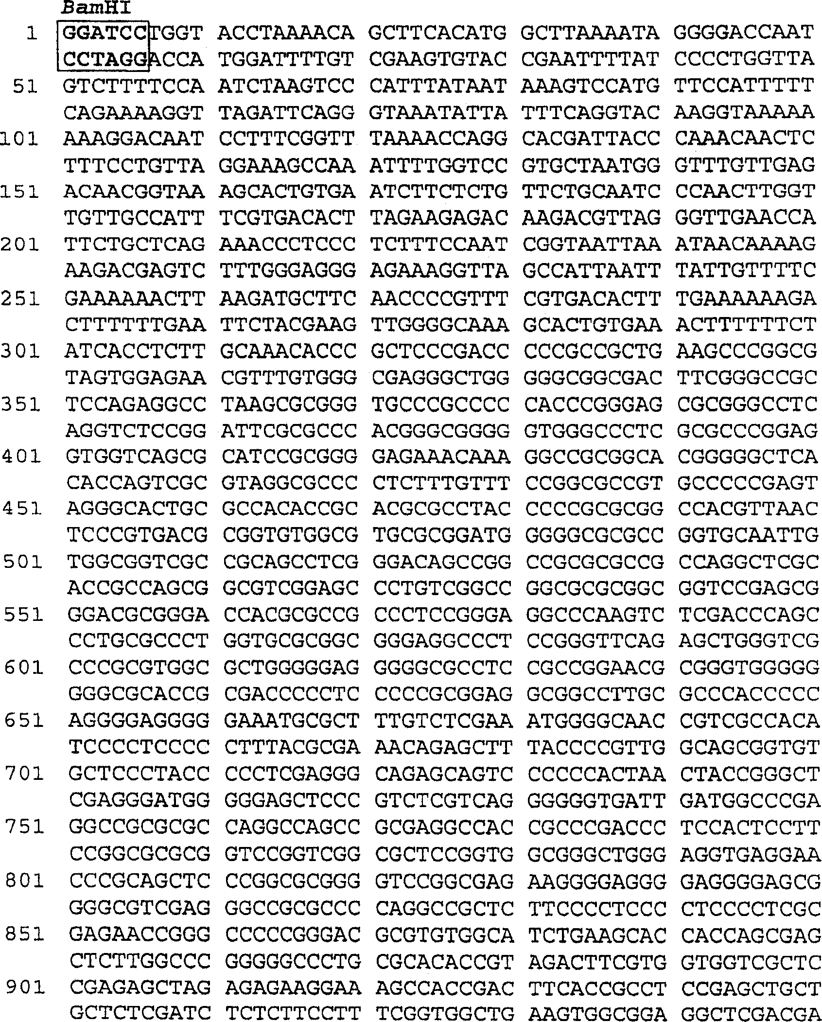 Improved genetic elements providing high levels of expression