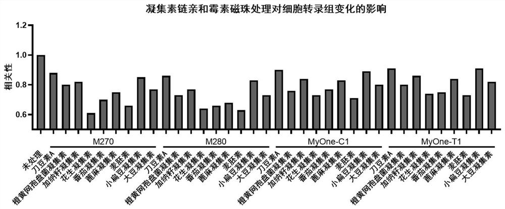 Low-irritation lectin magnetic bead and preparation method of recombinant lectin magnetic bead