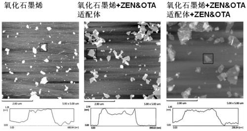 A biosensor for simultaneous detection of zearalenone and ochratoxin a, its preparation method and its detection method