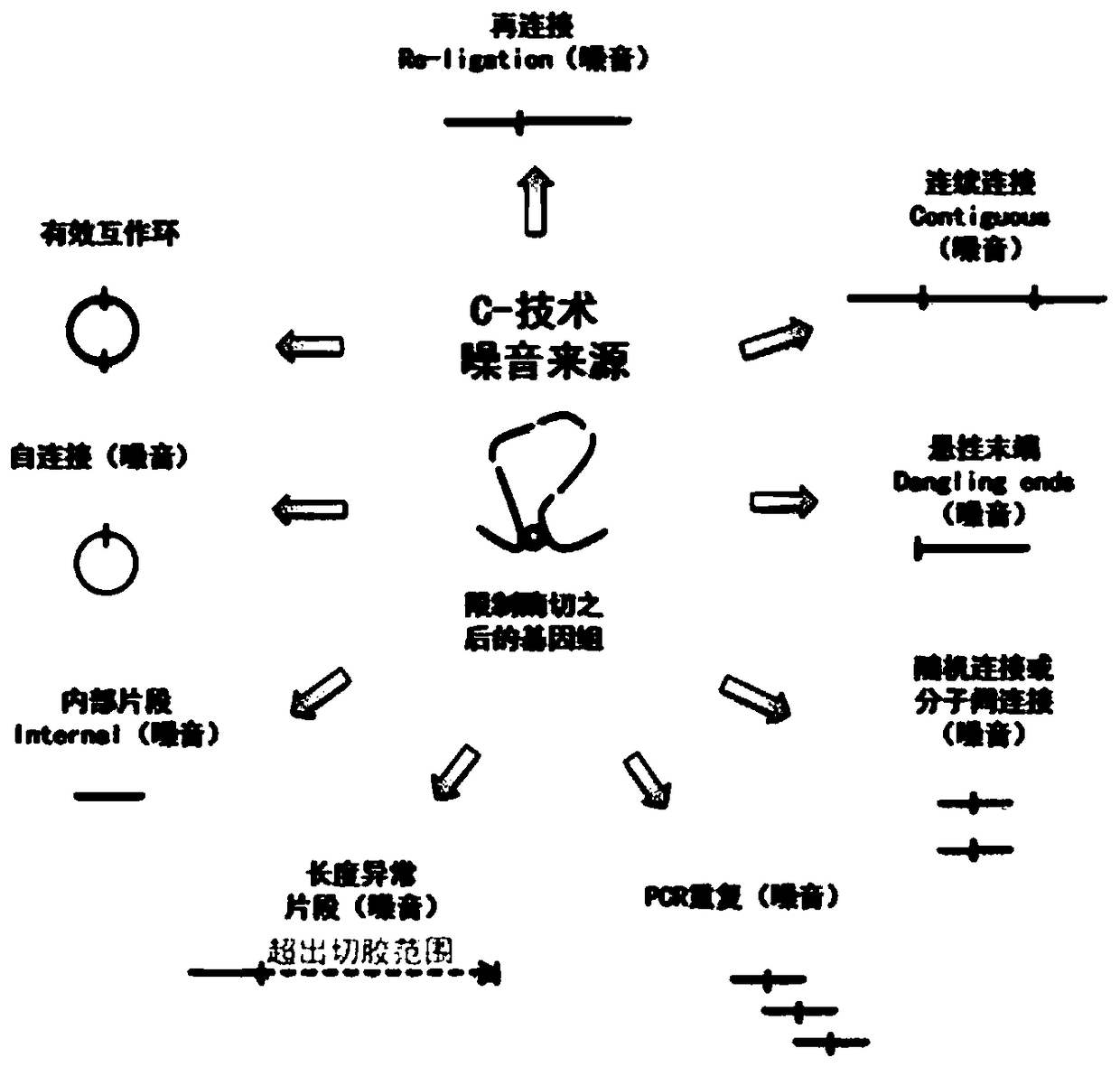 Method for eliminating three-dimensional genomics technology noise by utilizing exonuclease combination