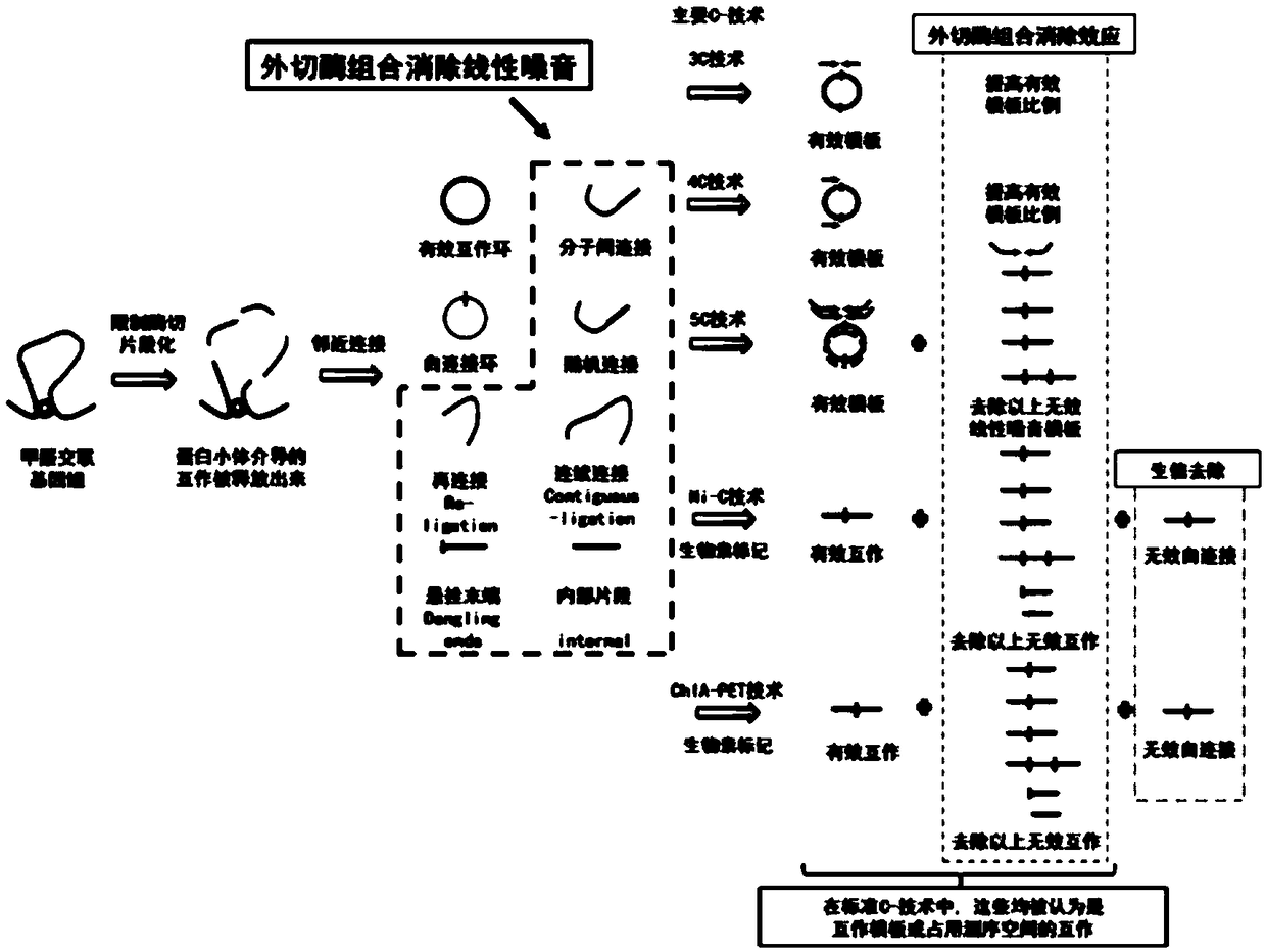 Method for eliminating three-dimensional genomics technology noise by utilizing exonuclease combination