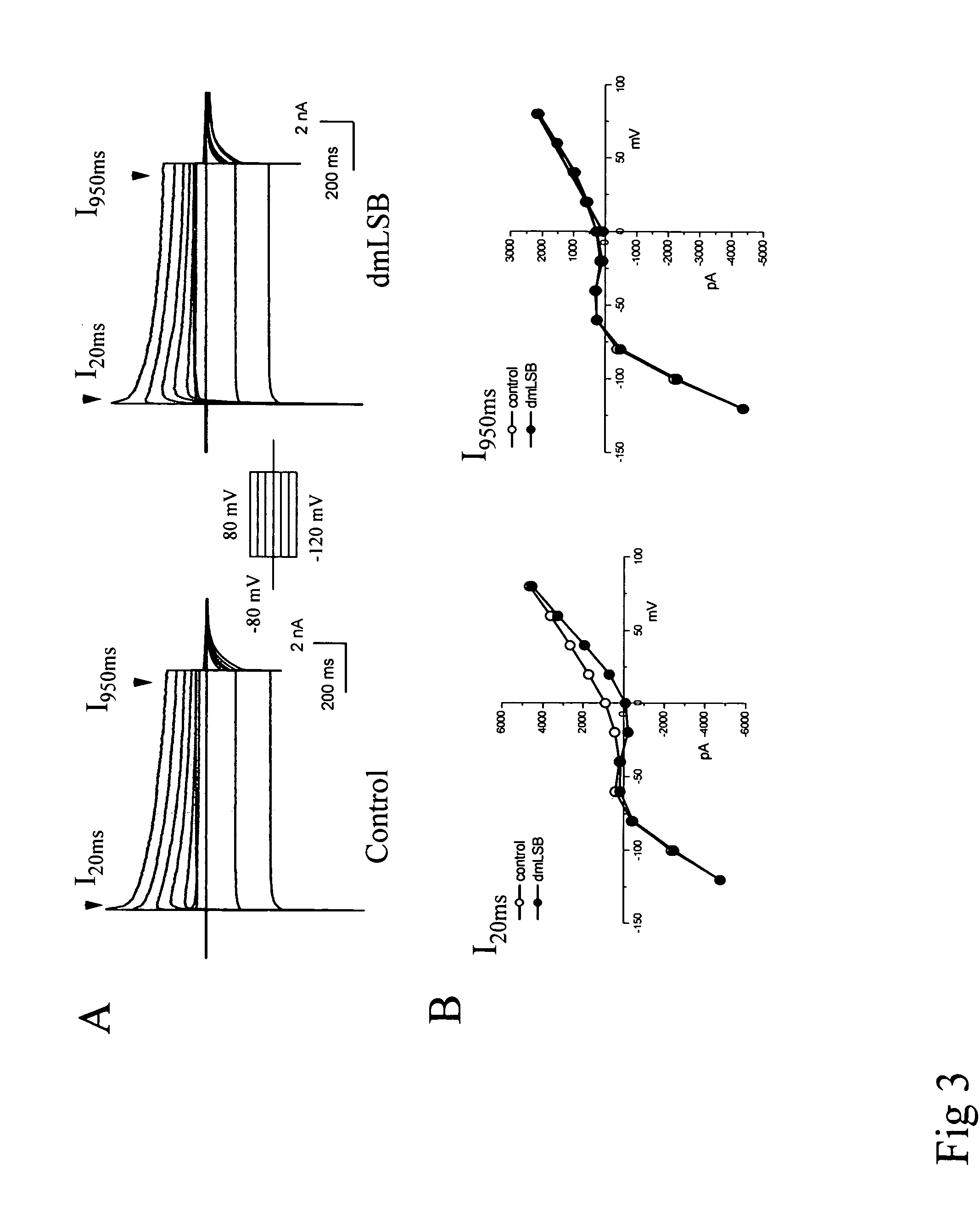 Sodium channel agonist