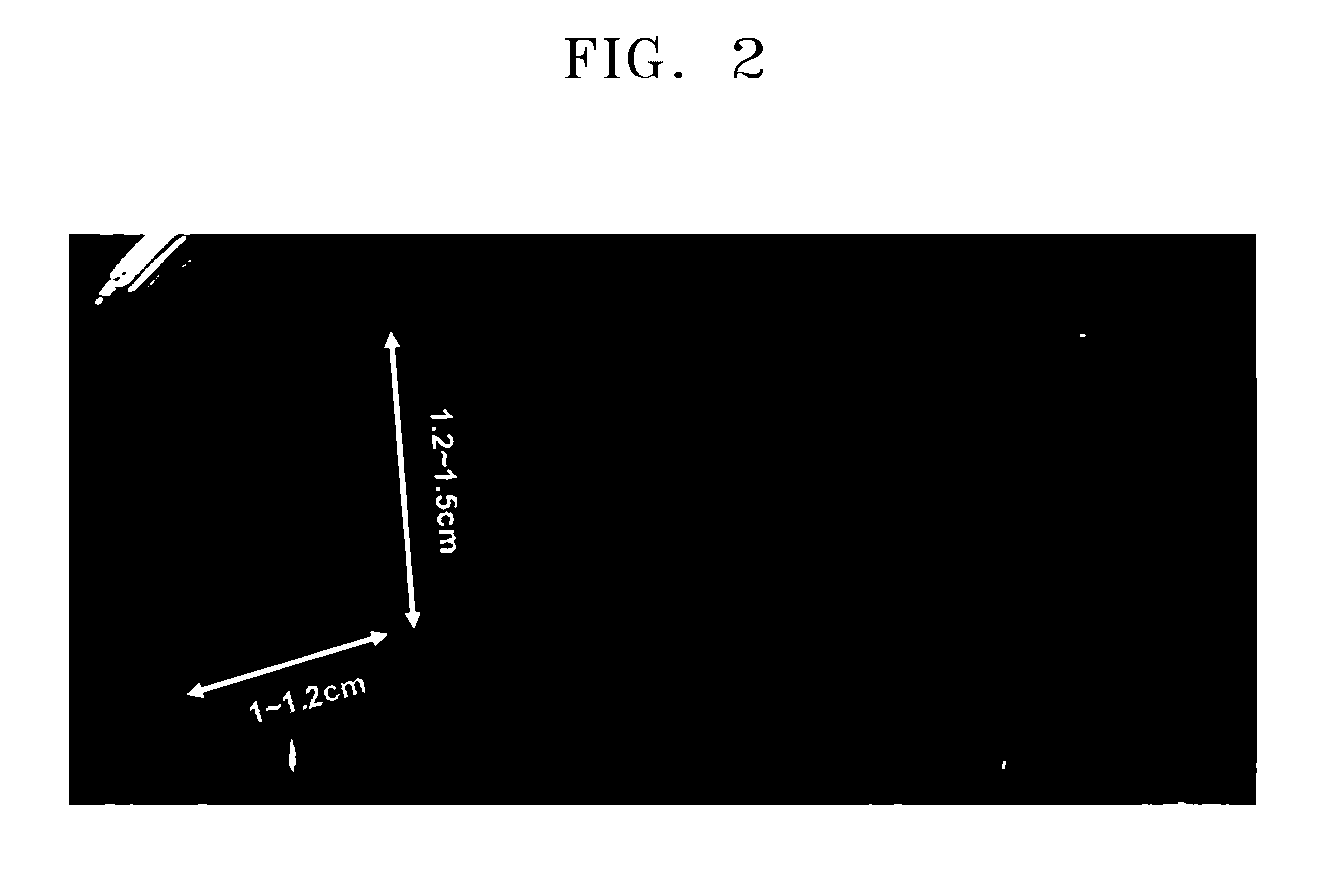 Graphene sheet and method of preparing the same