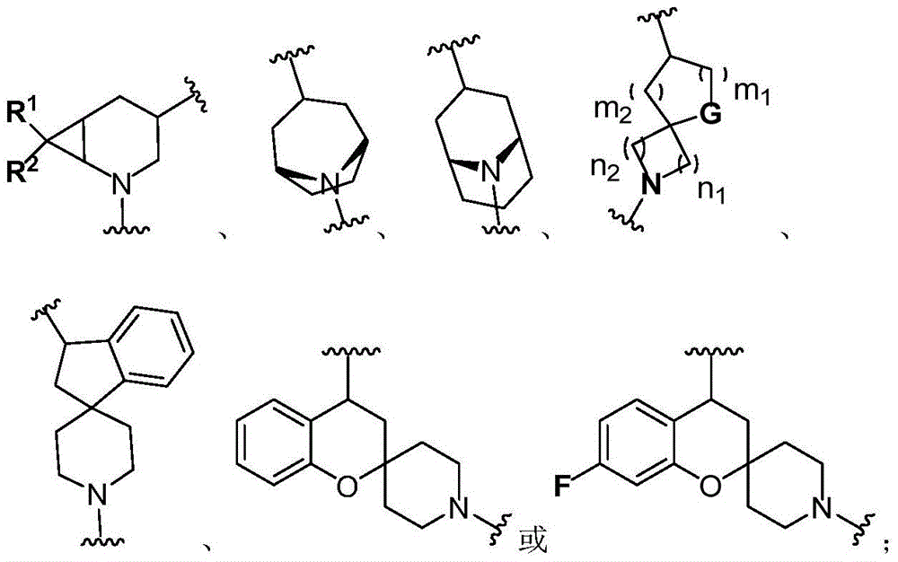 Bruton tyrosine kinase inhibitor with spiro or bridge ring structure and preparation method thereof