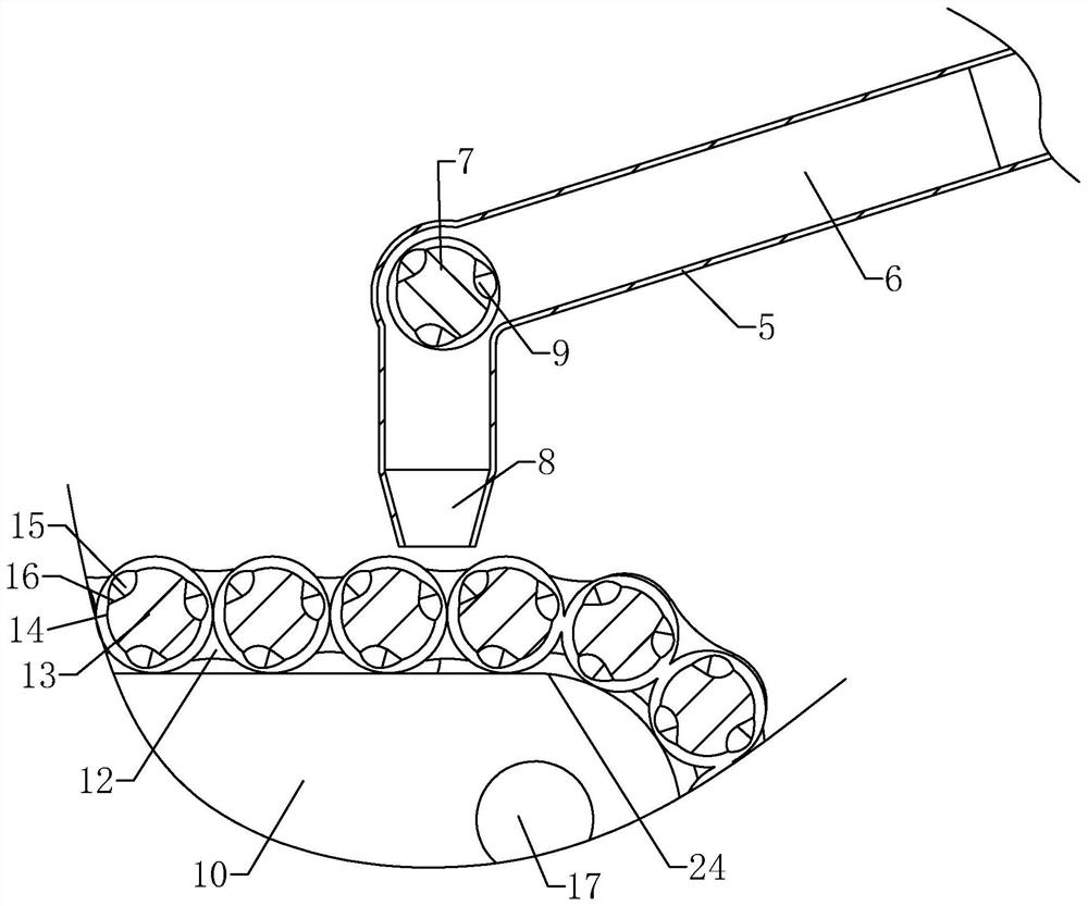 Rice mildew nondestructive detection device