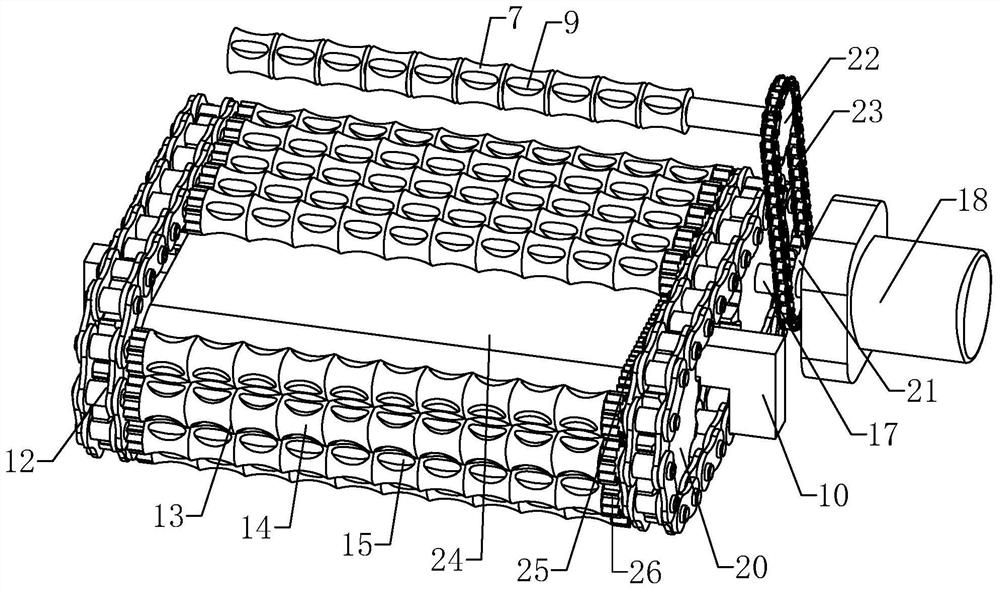 Rice mildew nondestructive detection device