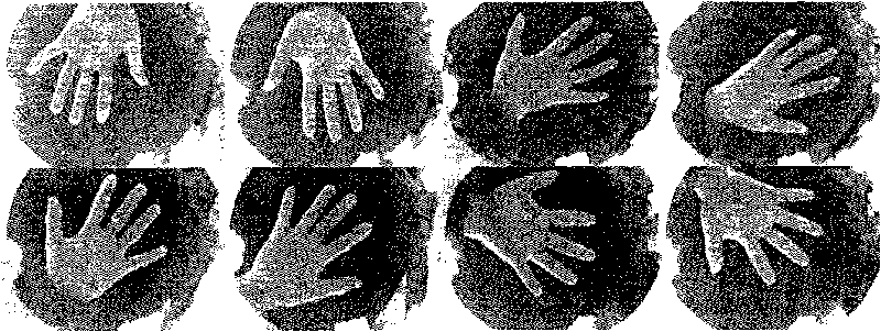 Method applied to palm shape extraction and feature positioning in high-freedom degree palm image