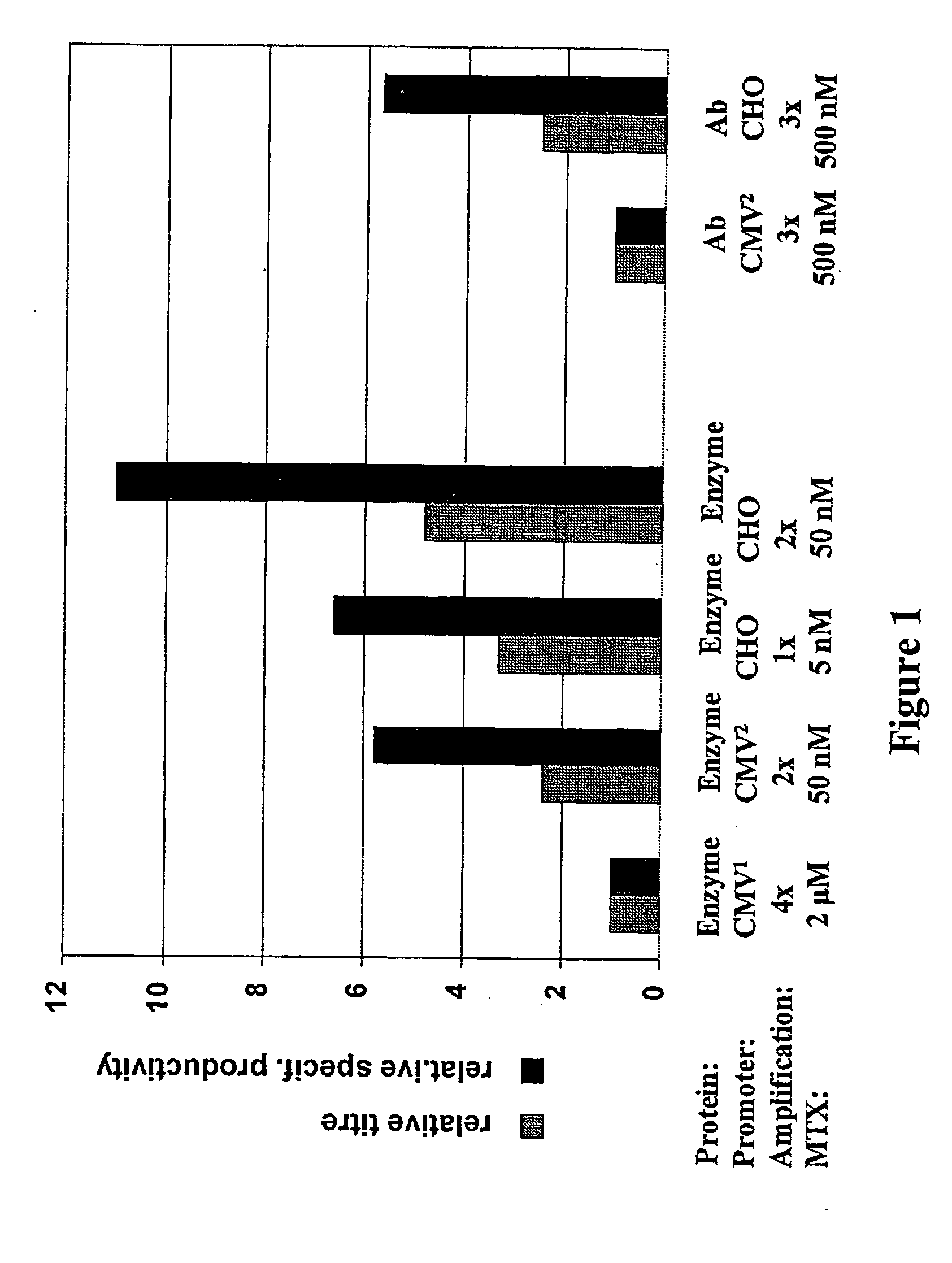 Expression vector, methods for the production of heterologous gene products and for the selection of recombinant cells producing high levels of such products