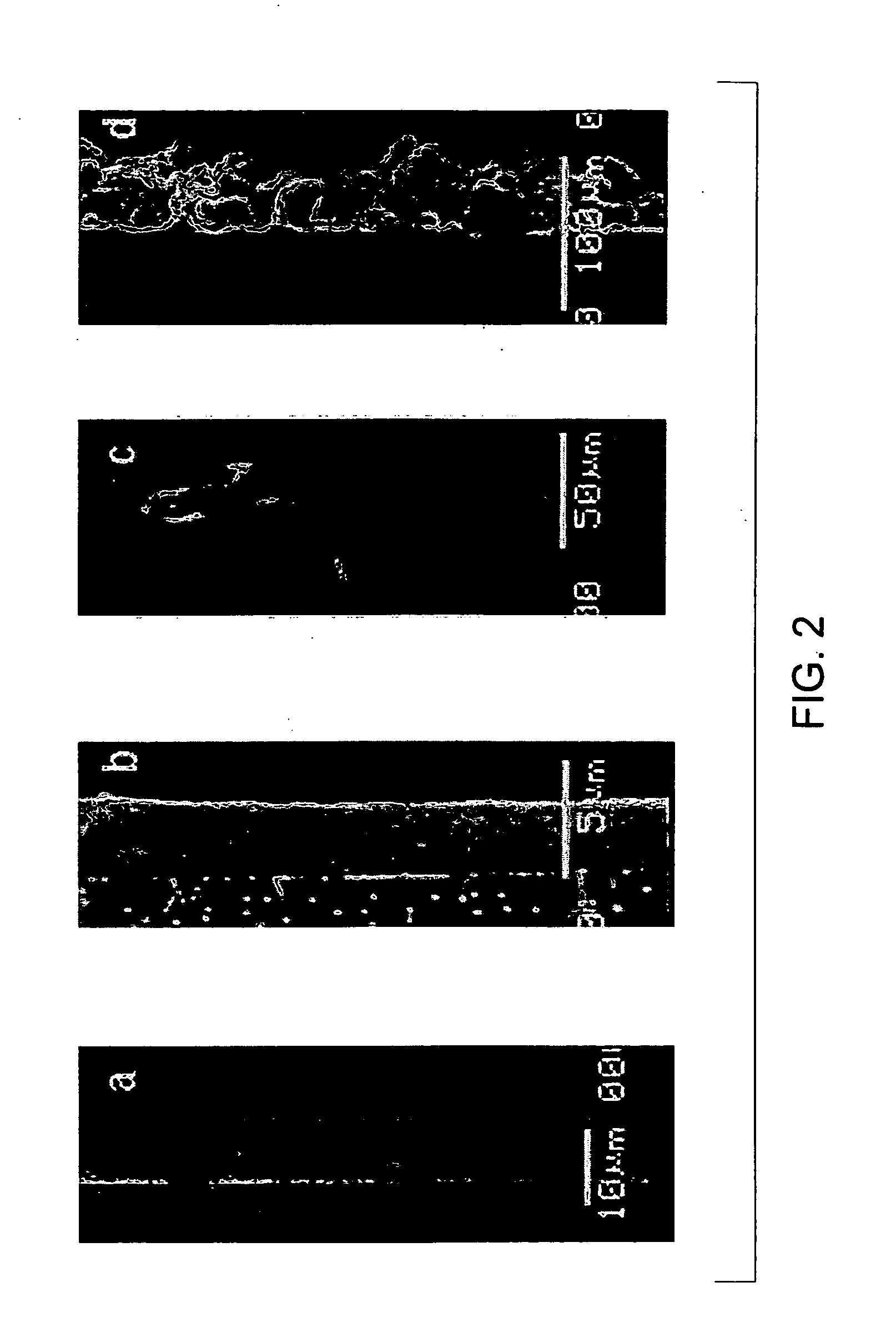 Superhydrophobic coating composition and coated articles obtained therefrom