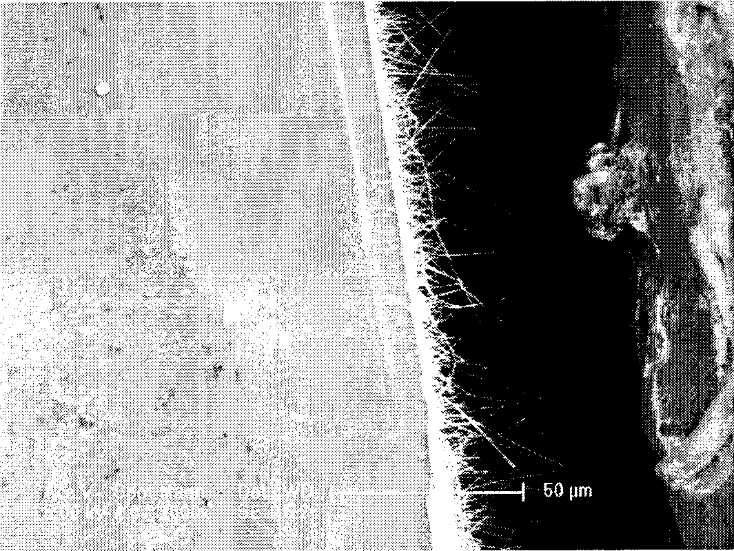 Preparation of tin dioxide nano line array electrode for lithium battery